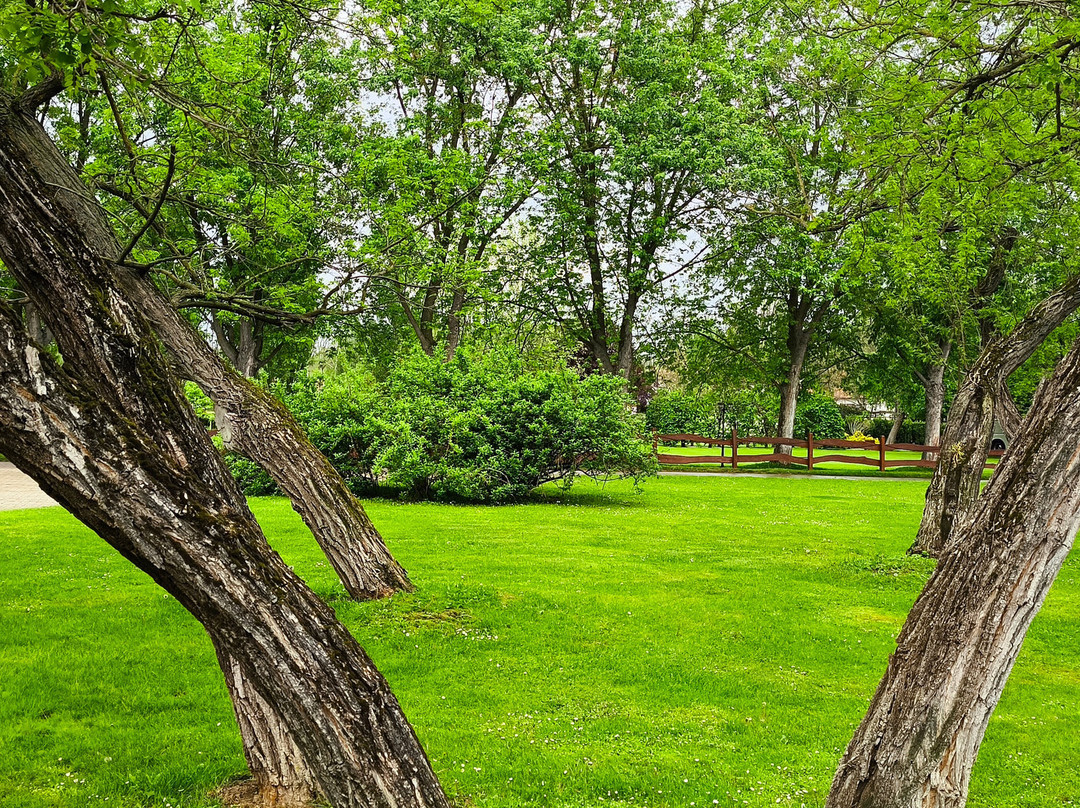 Lázár Lovaspark-Domony必去景点