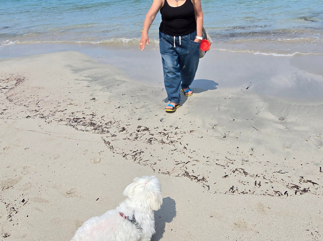 斯特拉德尔苏德酒店主图