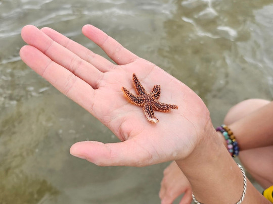 Jet Ski PonTiki Myrtle Beach-美特尔海滩必去景点