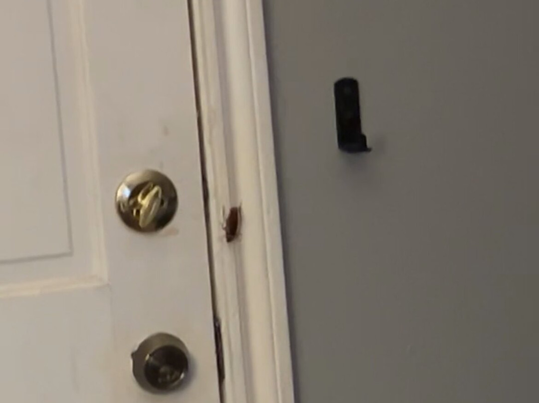 Columbia Lakes Resort and Country Club主图