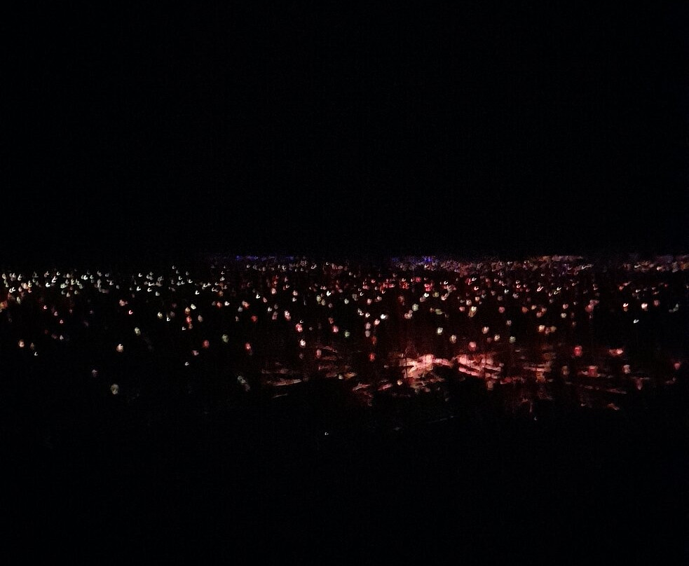 Field of Light-乌鲁鲁-卡塔丘塔国家公园必去景点