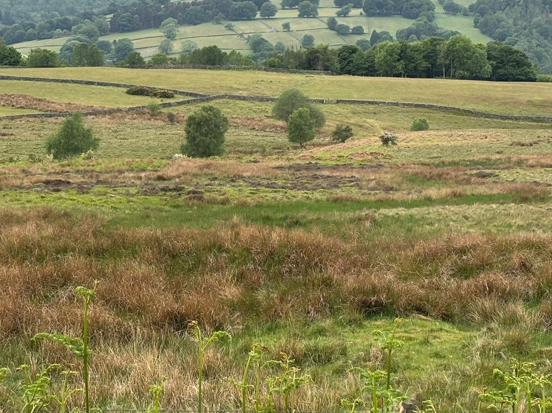 Longshaw Estate景点图片