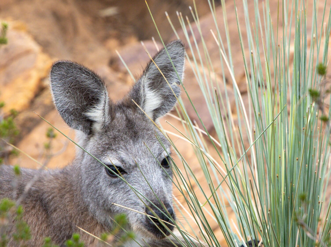 阿卡巴站酒店主图