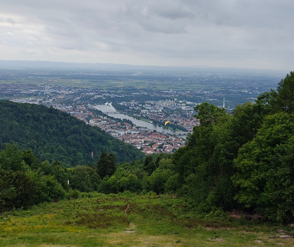 King's Throne (Konigstuhl)景点图片