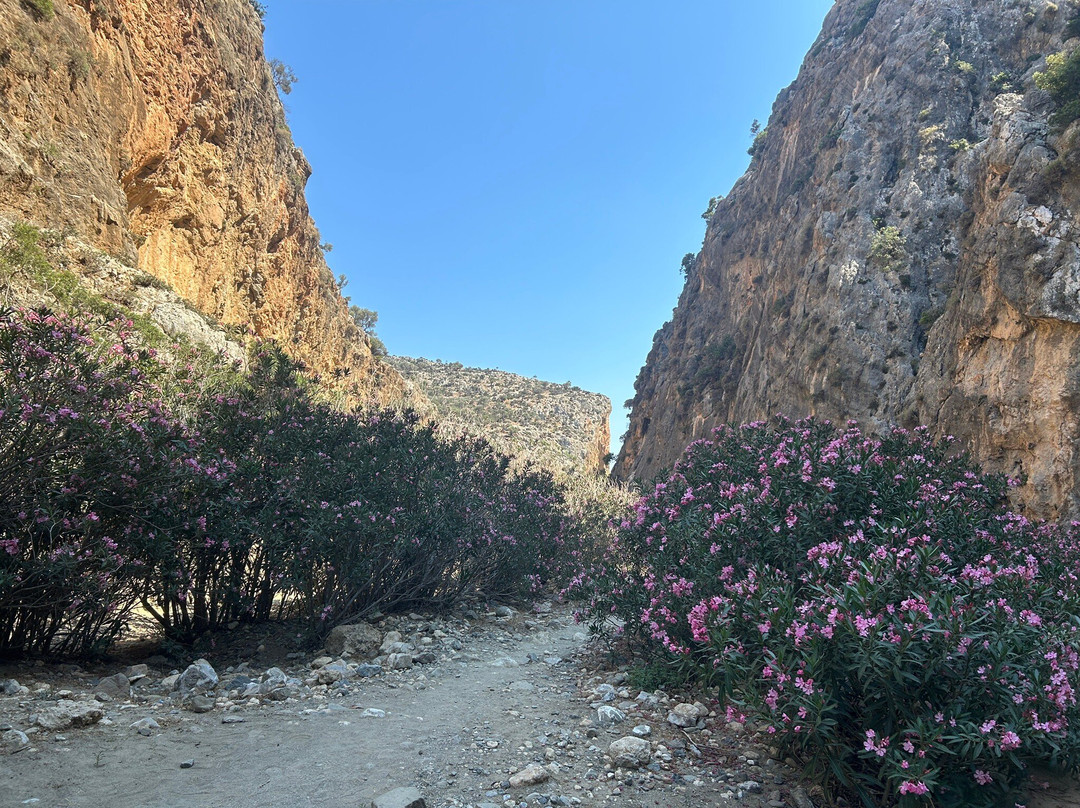 South Crete Safari-马塔拉必去景点