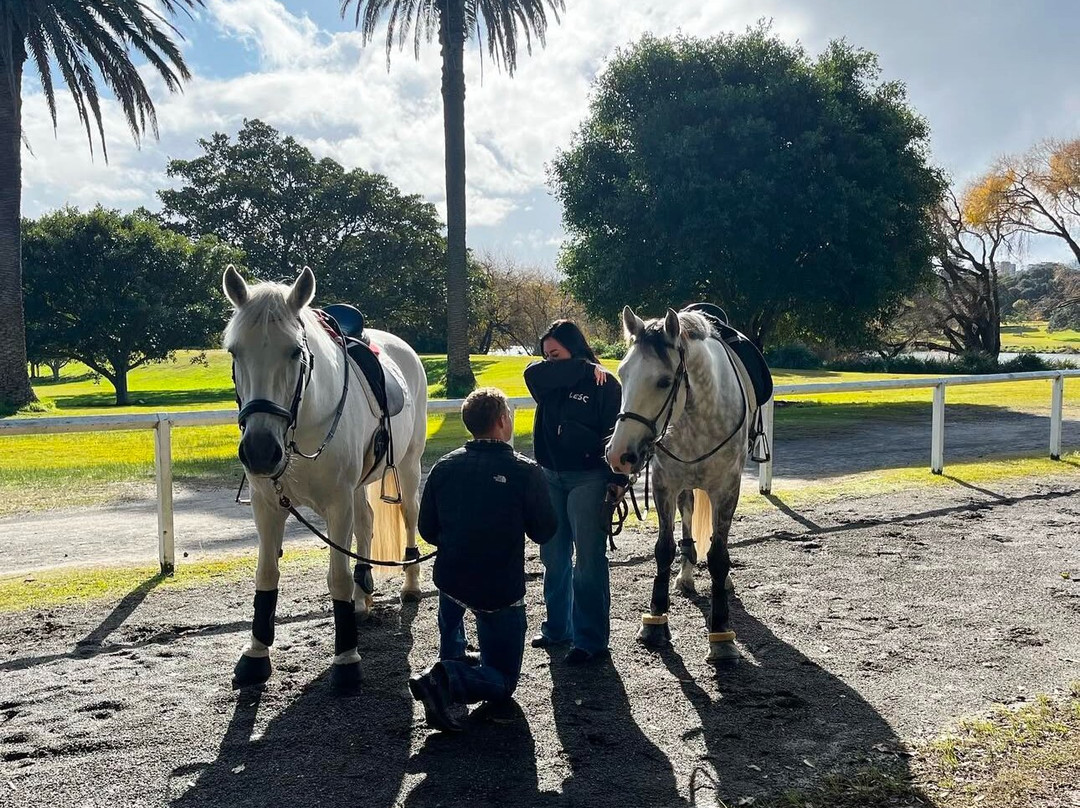 Papillon Riding Stables-悉尼必去景点