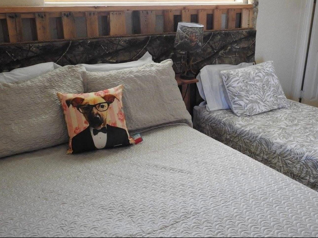 Twin Palms Motel主图