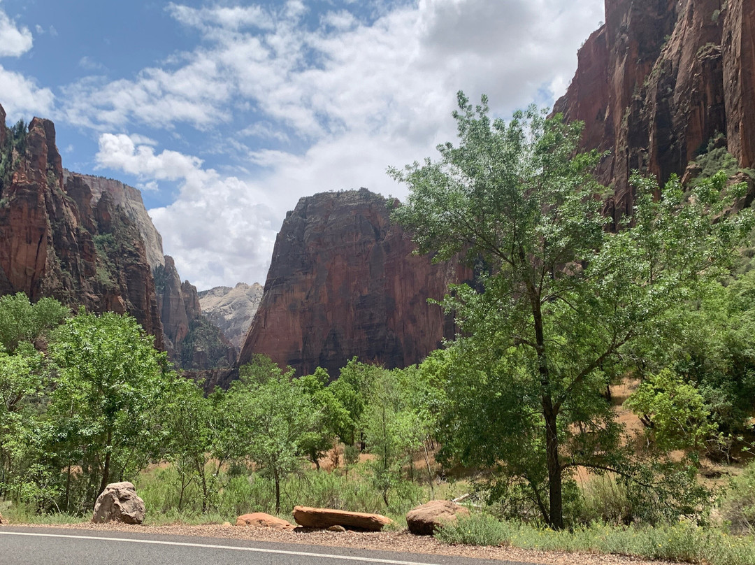 Greater Zion E-bikes-斯普林代尔必去景点