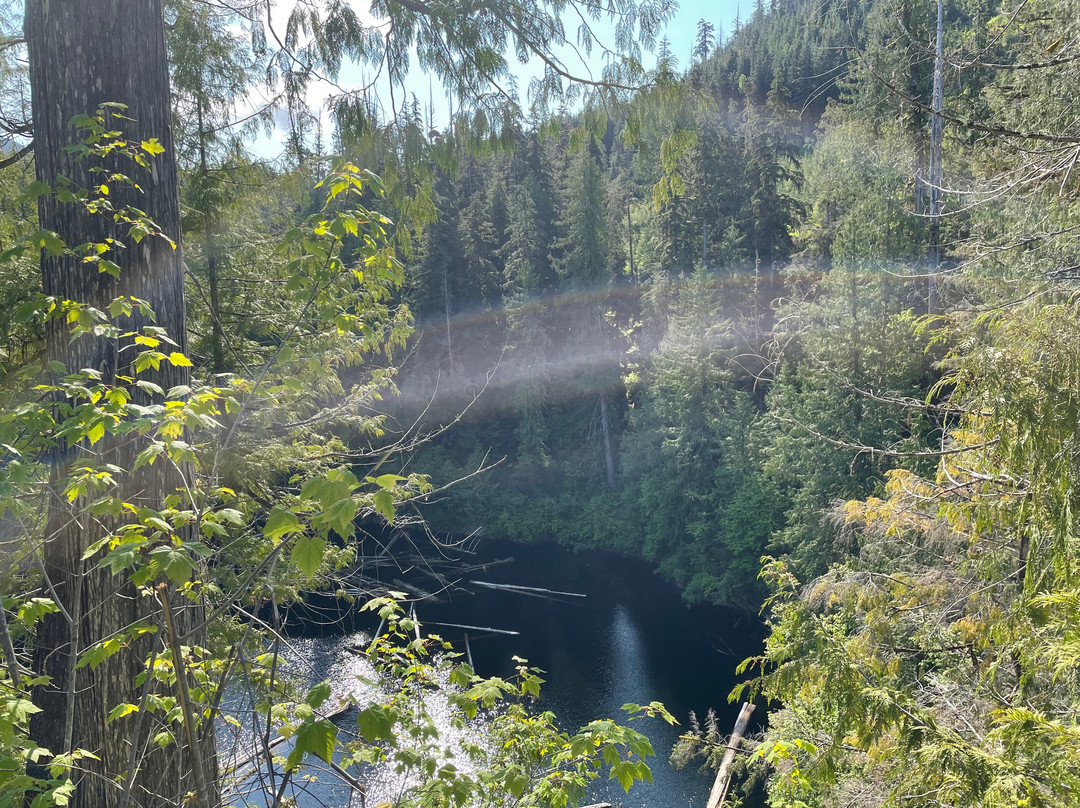 Alice Lake Loop景点图片