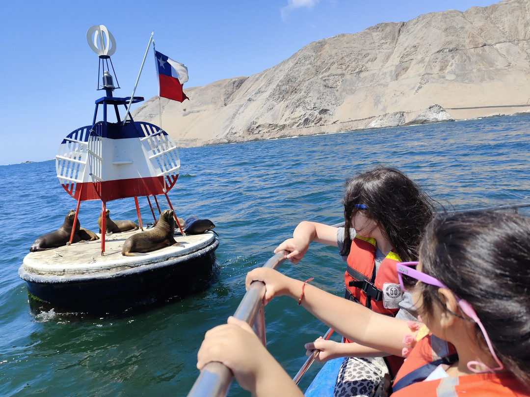 Boya Esmeralda de Iquique-伊基克必去景点