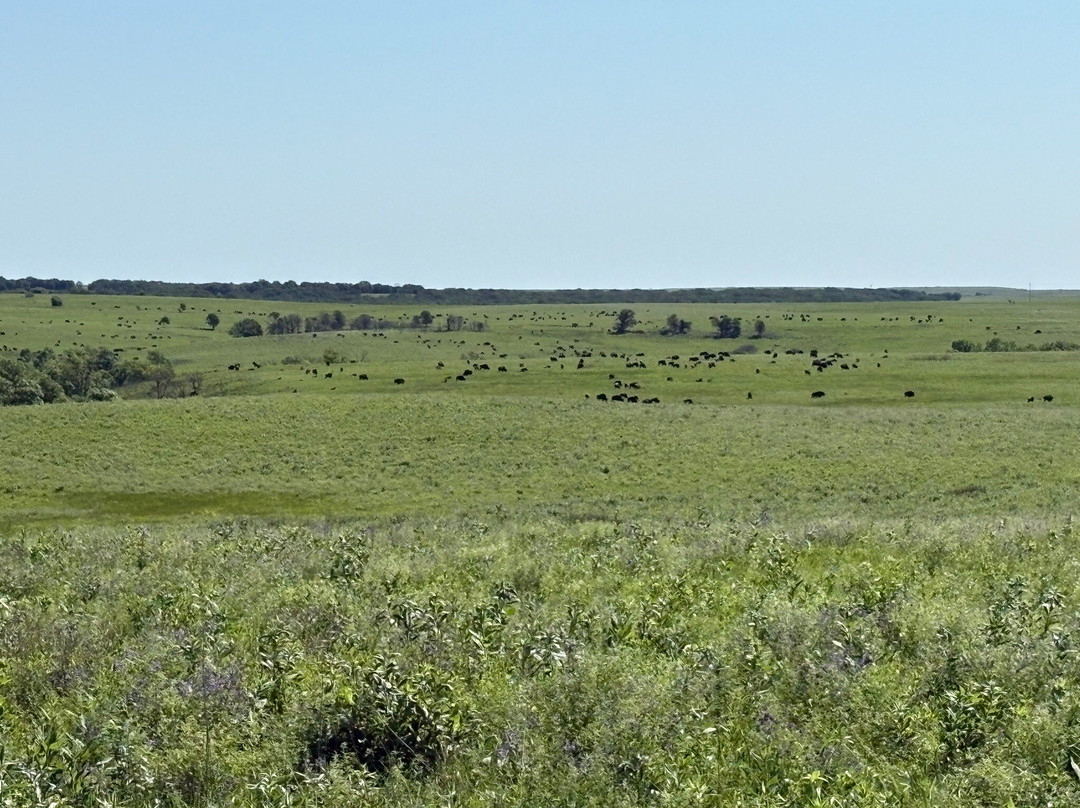 Tallgrass Prairie Preserve-Pawhuska必去景点