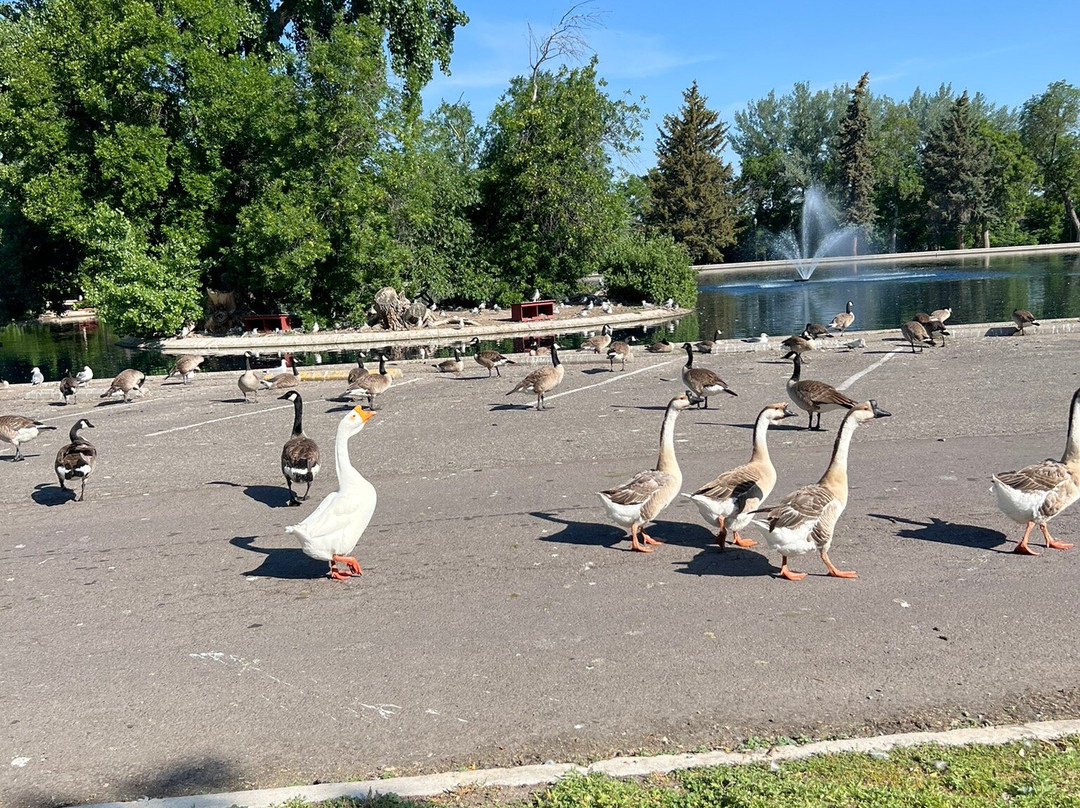 Gibson Park-大瀑布市必去景点