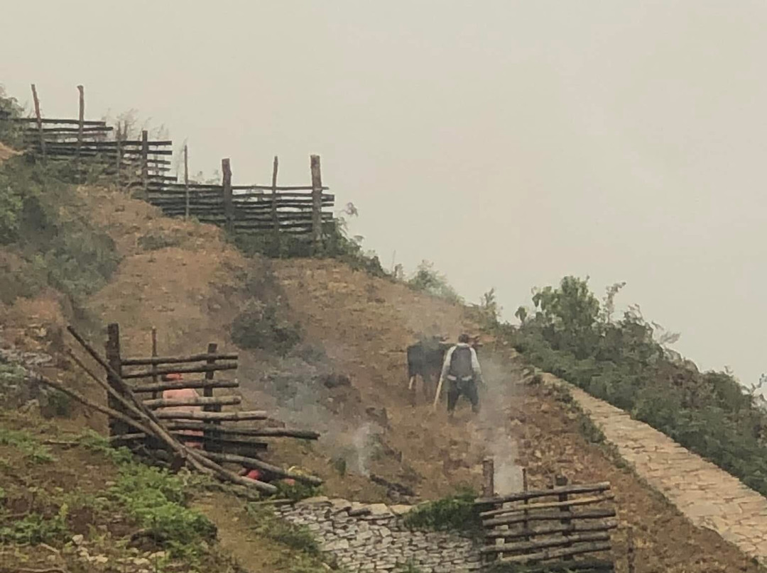 Tamagi Museum And Learning Centre-博卡拉必去景点