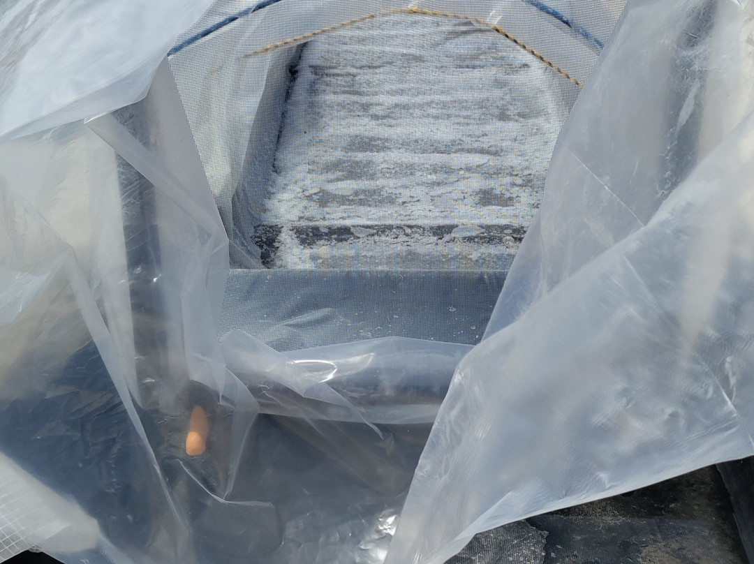 Kona Salt Farm-凯鲁瓦-柯纳必去景点