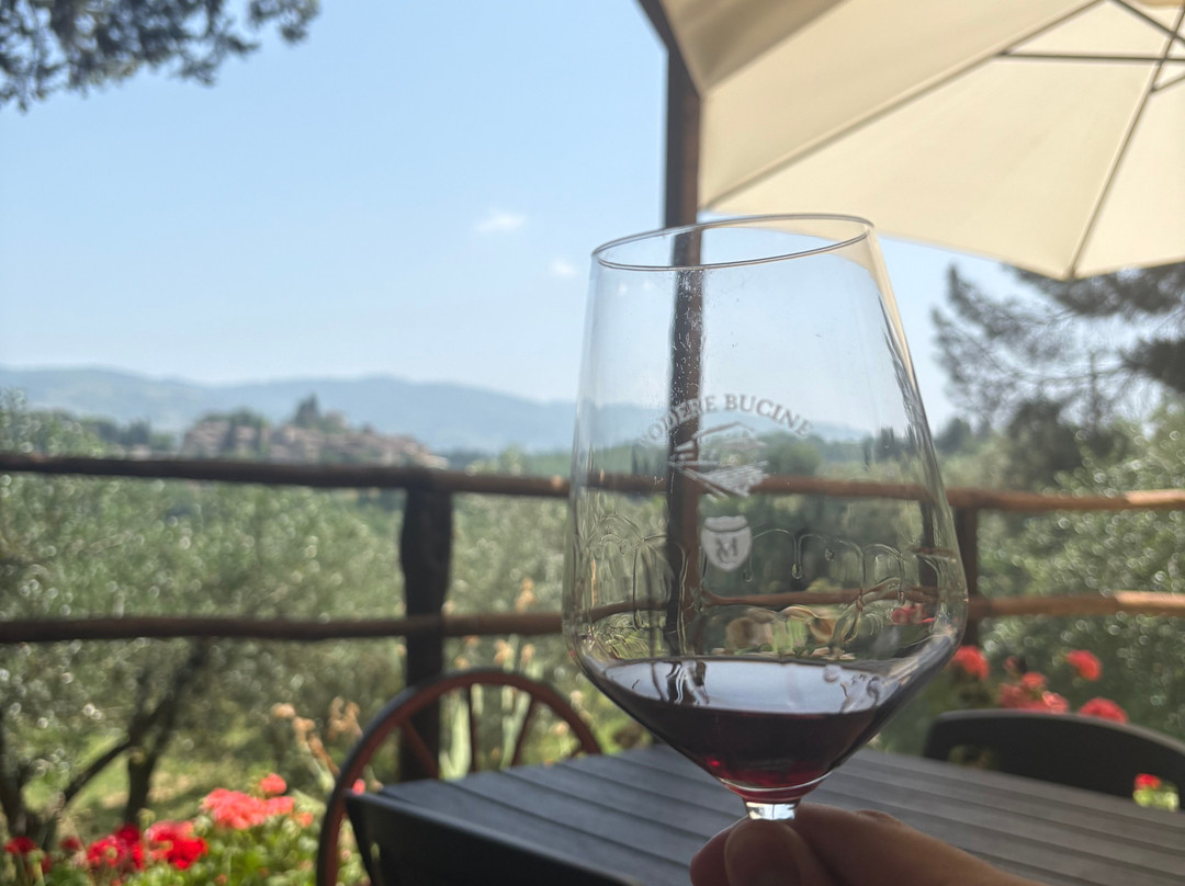 Podere Bucine Winery-格雷韦伊恩基亚恩蒂必去景点
