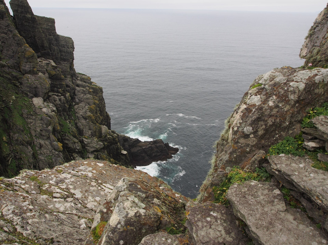 Skellig Falcon