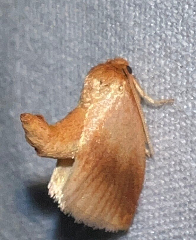 Butterfly Ridge Conservation Center-Rockbridge必去景点