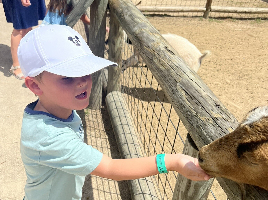Zoo World Zoological Park-巴拿马城海滩必去景点