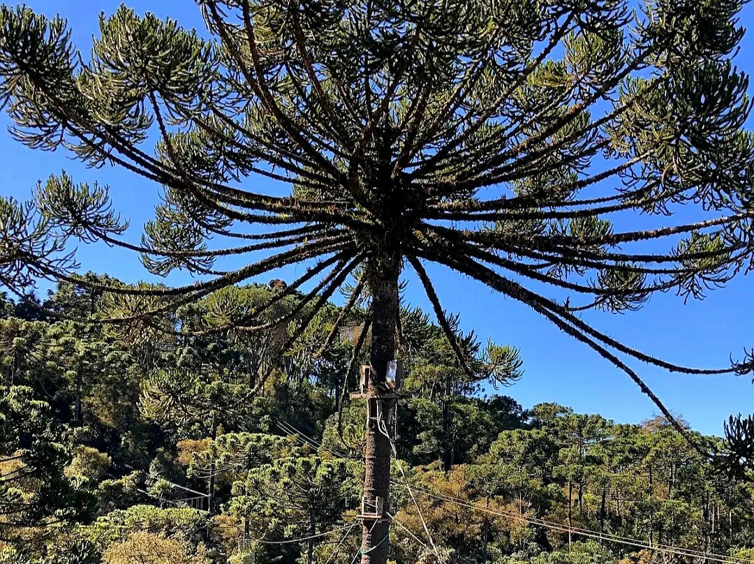 Aventura no Rancho-坎普斯－杜若尔当必去景点