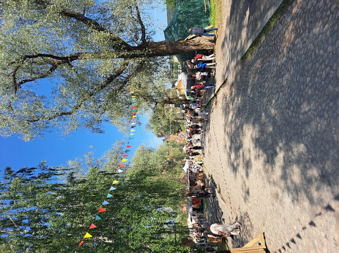 Hameen Keskiaikafestivaali-海门林纳必去景点