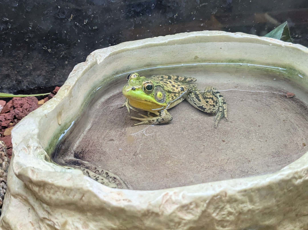 Outdoor Discovery Center-荷兰村必去景点