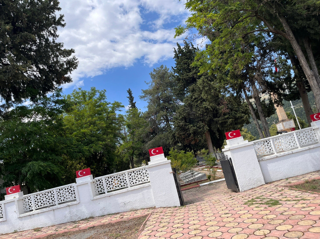 Türk Şehitliği-梅尔辛必去景点