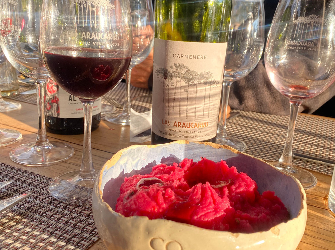 Viña Las Araucarias-Melipilla必去景点