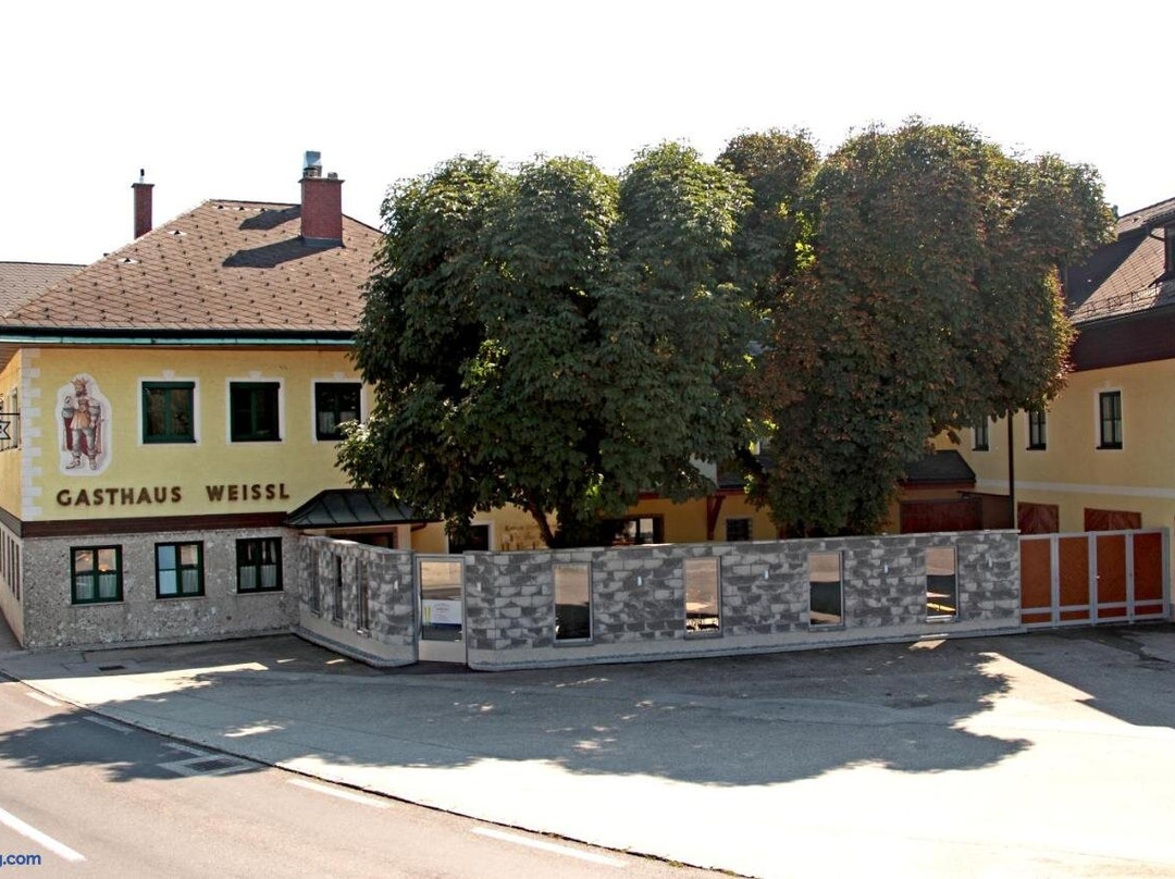 Schwanenstadt酒店住宿-Gasthof Weissl