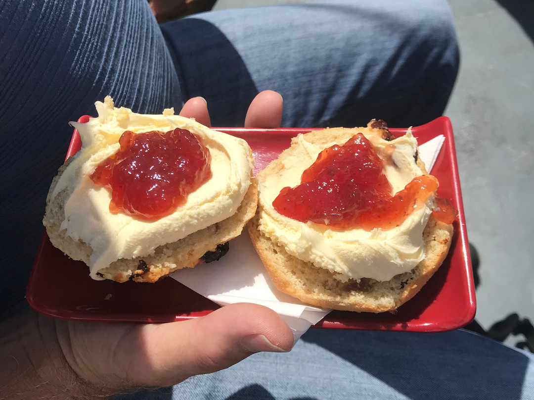 Stuart Line Cruises-埃克斯茅斯必去景点