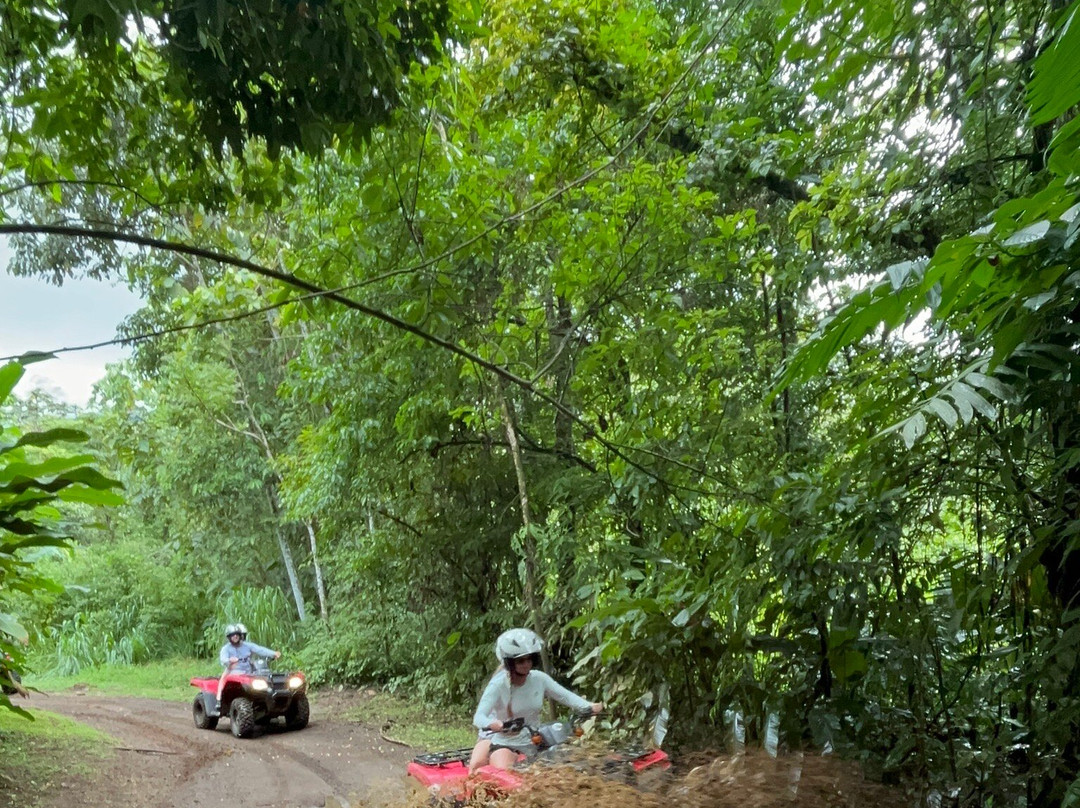 Super Quads-圣卡洛斯必去景点