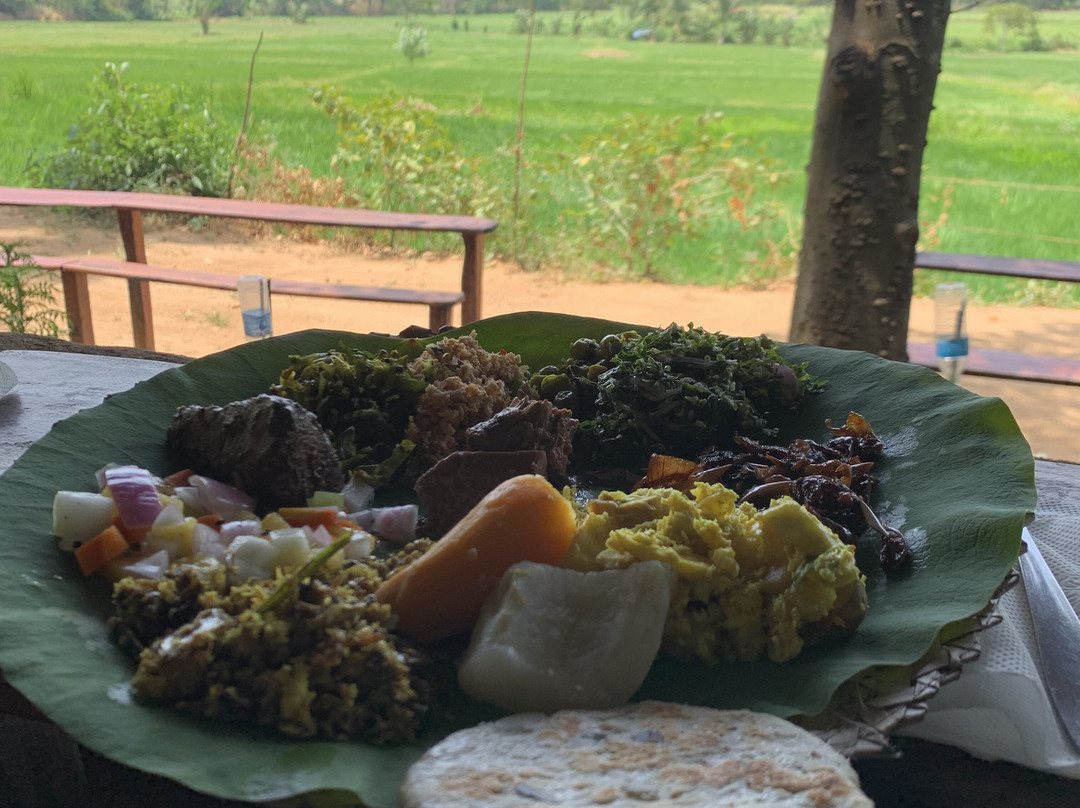 Sura Tours & Travels-卡图纳耶克必去景点