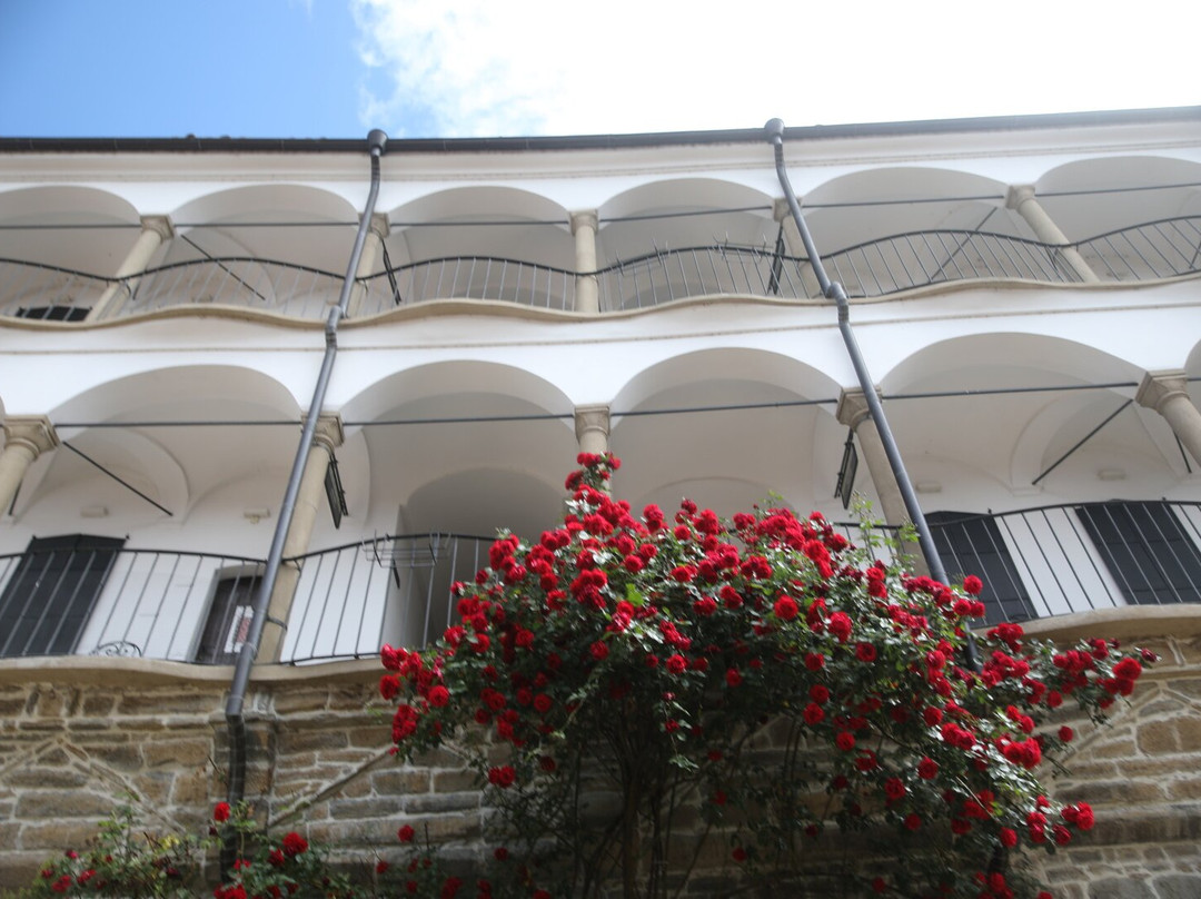 Hadji Nikoli Inn Museum Art Gallery-大特尔诺沃必去景点