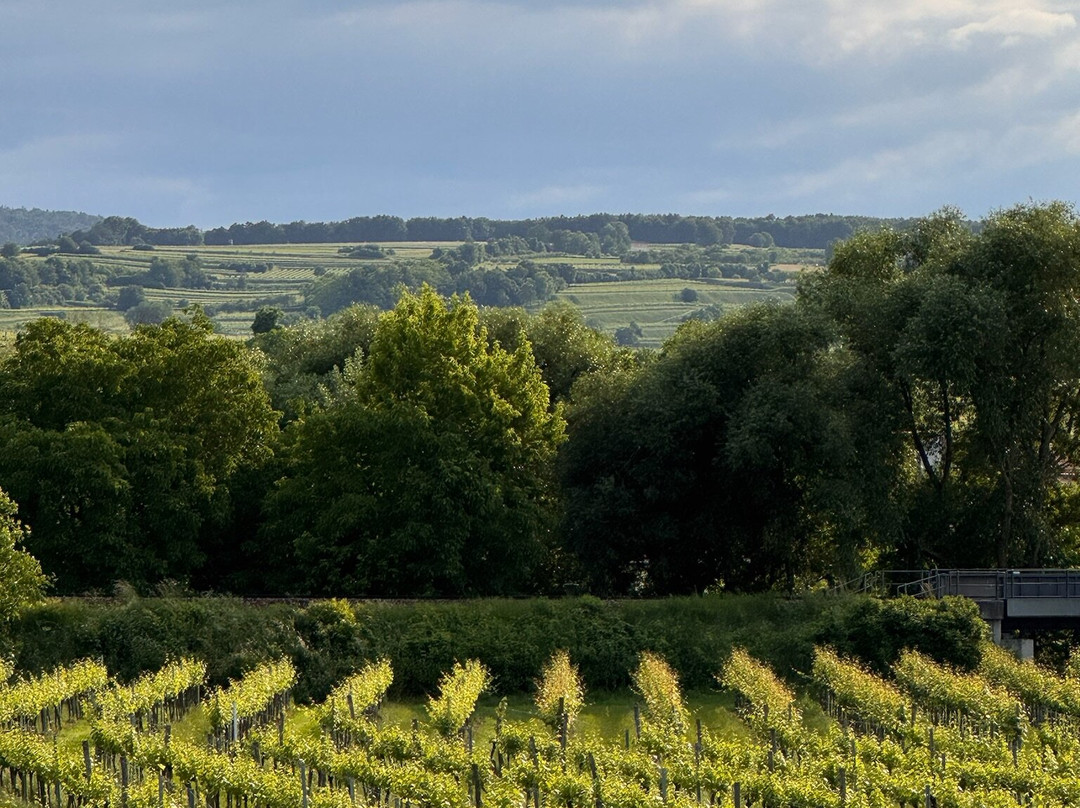 Malat Weingut und Hotel主图