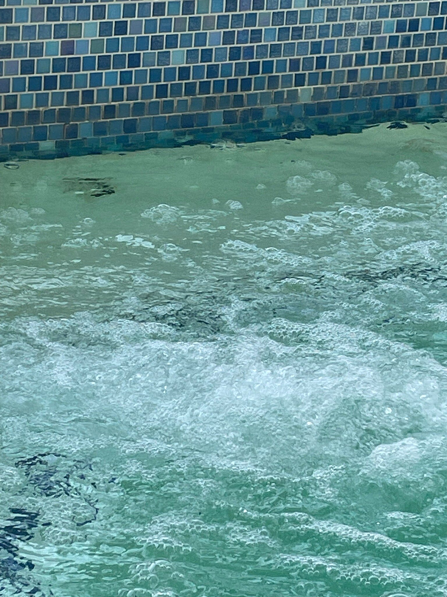 Calistoga Spa Hot Springs-官方