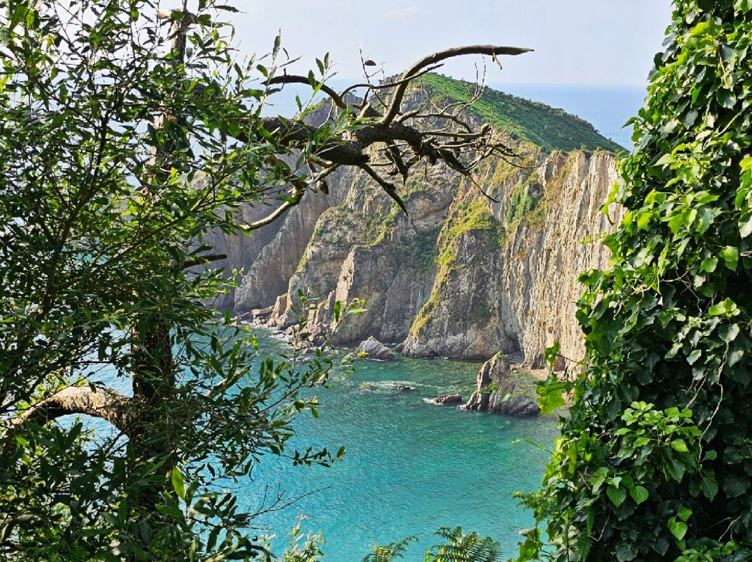 Playa Del Silencio-Castaneras必去景点