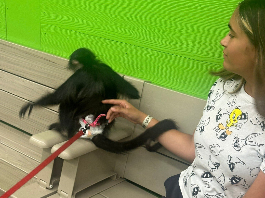 Branson's Promised Land Zoo-布兰森必去景点