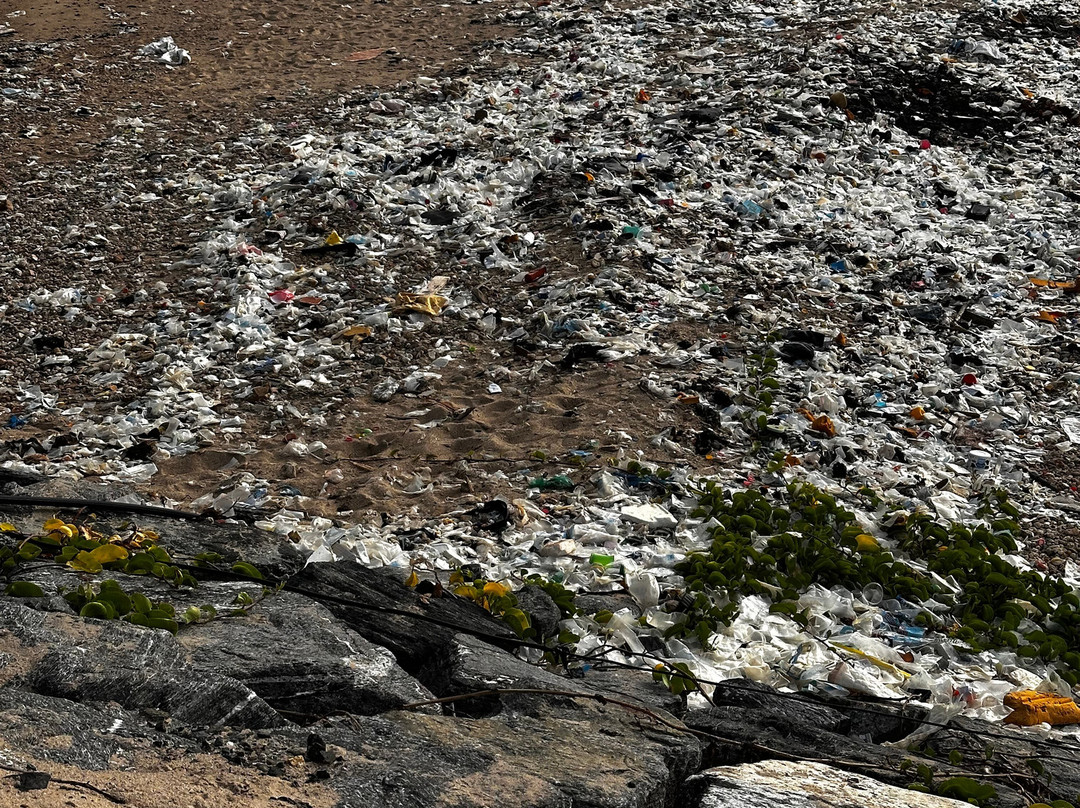 The C Resort & Residences主图