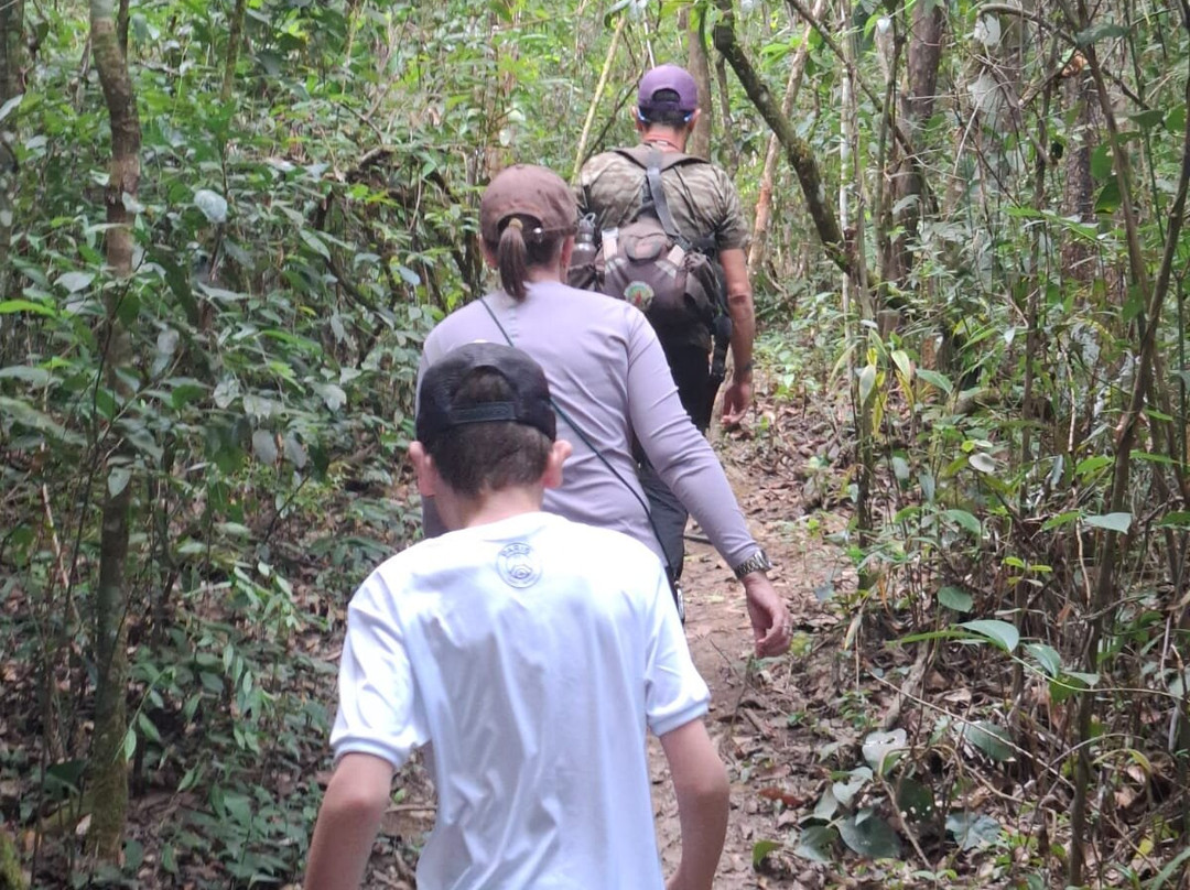 Canastra Sempre Viva-Sao Roque de Minas必去景点