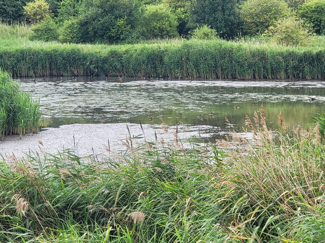 Port Sunlight River Park-Port Sunlight必去景点