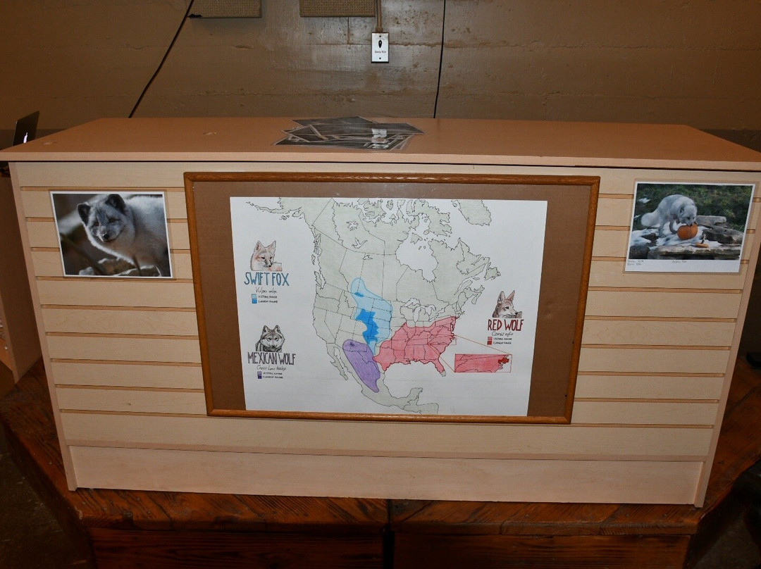 Endangered Wolf Center-Eureka必去景点