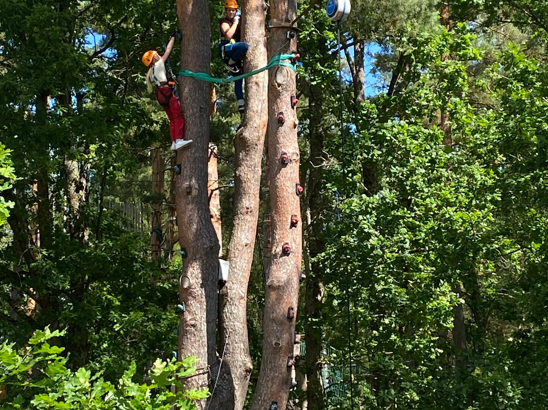 Multilevel Ziplines & Klätterpark-Hassleholm必去景点