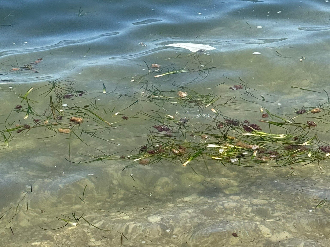 Spiaggia Guidaloca-Scopello必去景点