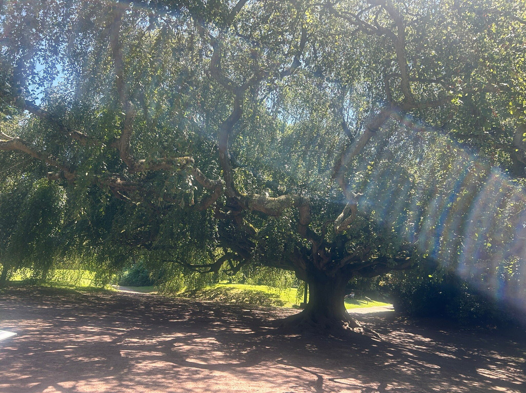 Jardin Public de Bayeux-巴约必去景点