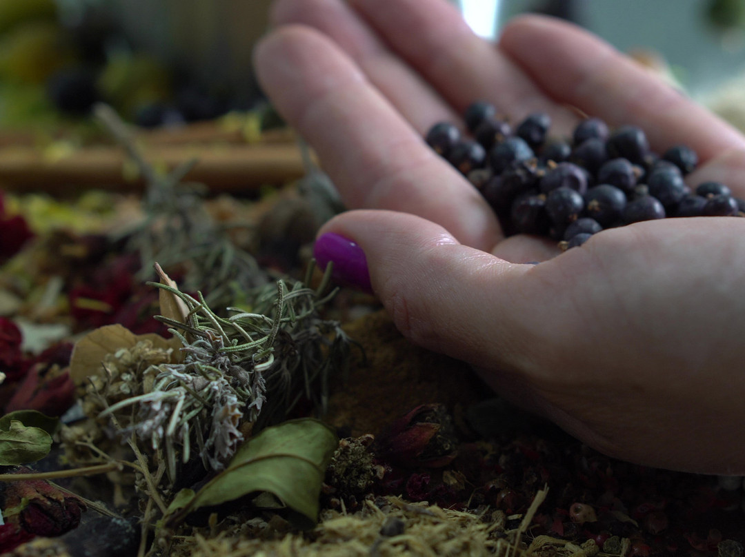 Herb & Spice Museum Budva-布德瓦必去景点
