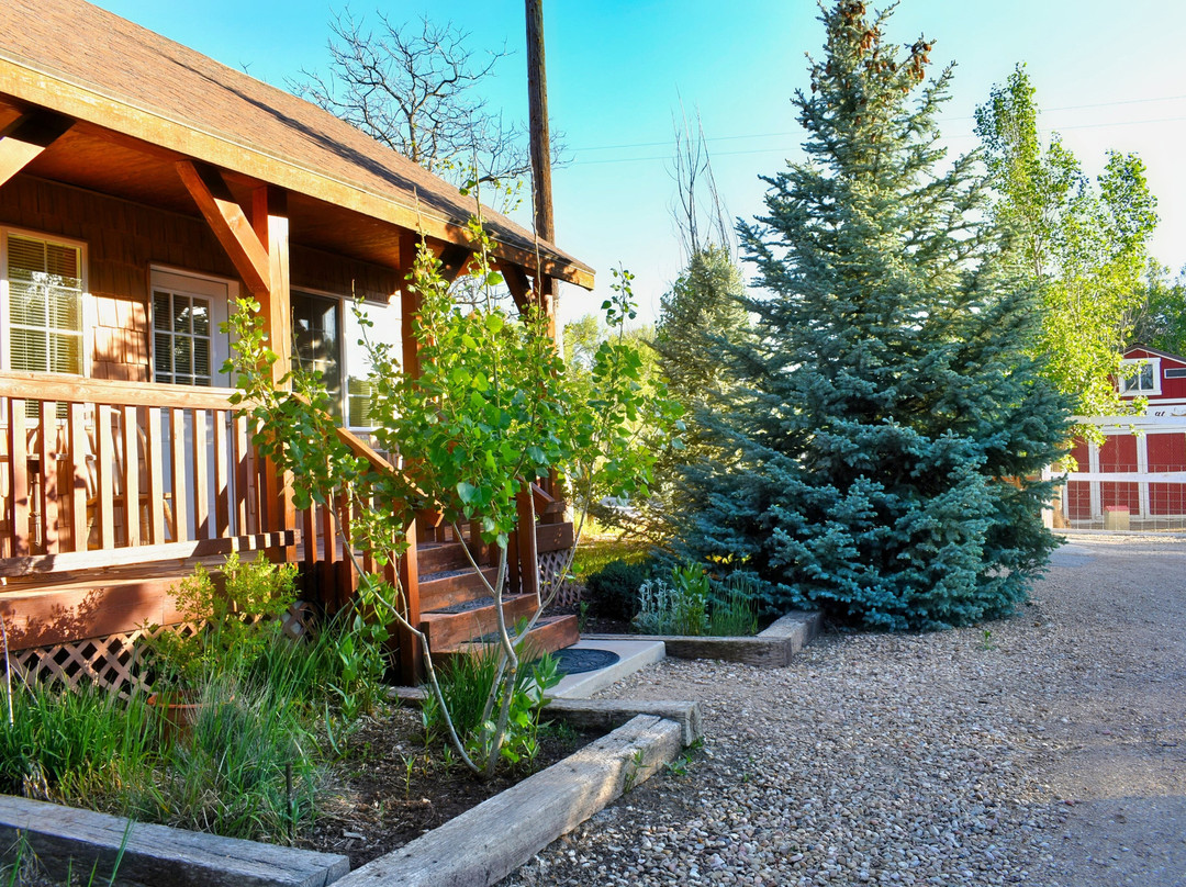 Arrowhead Country Cabins主图