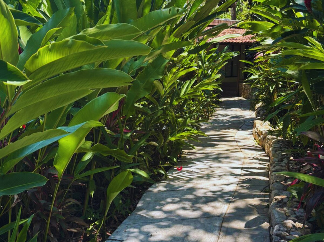 Hotel La Aldea del Halach Huinic主图