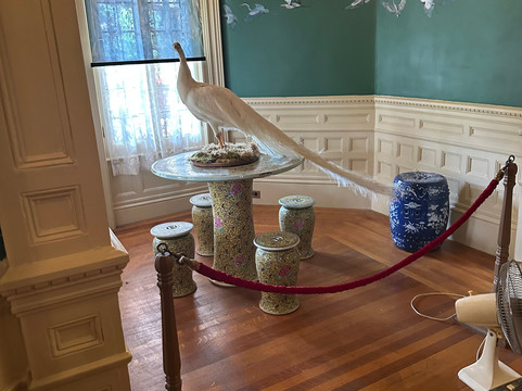 D&F Travel, Inc-水牛城必去景点