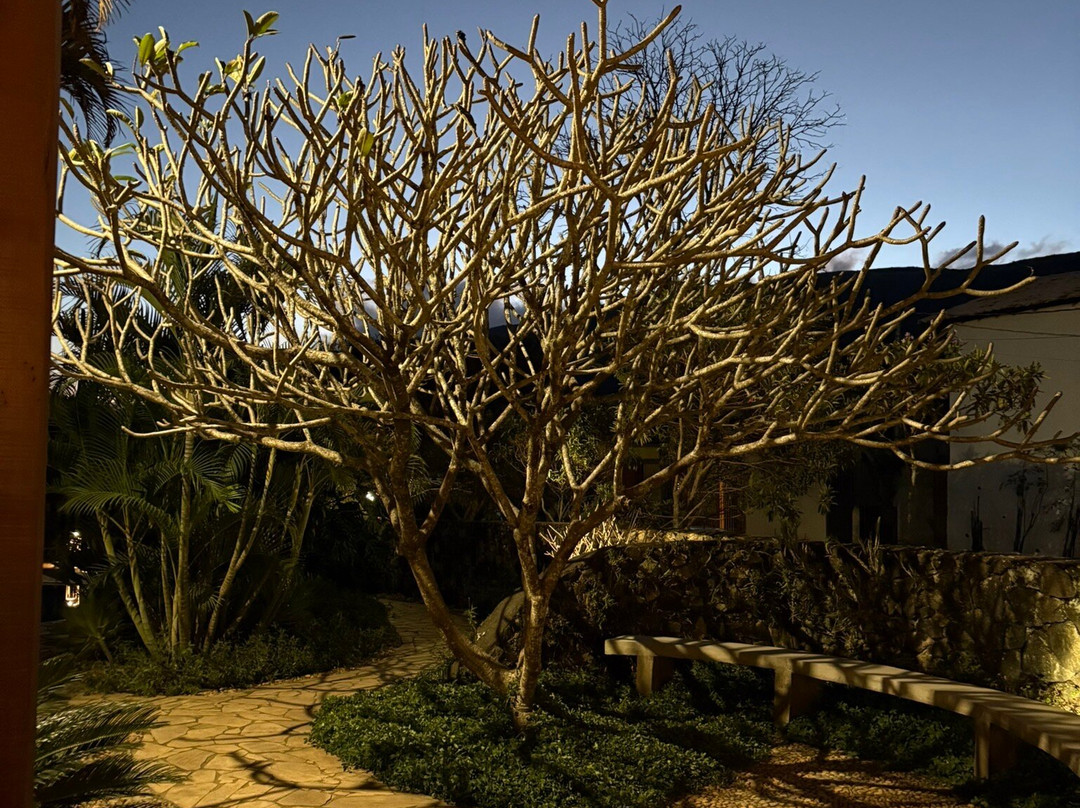 Pousada Vivenda主图