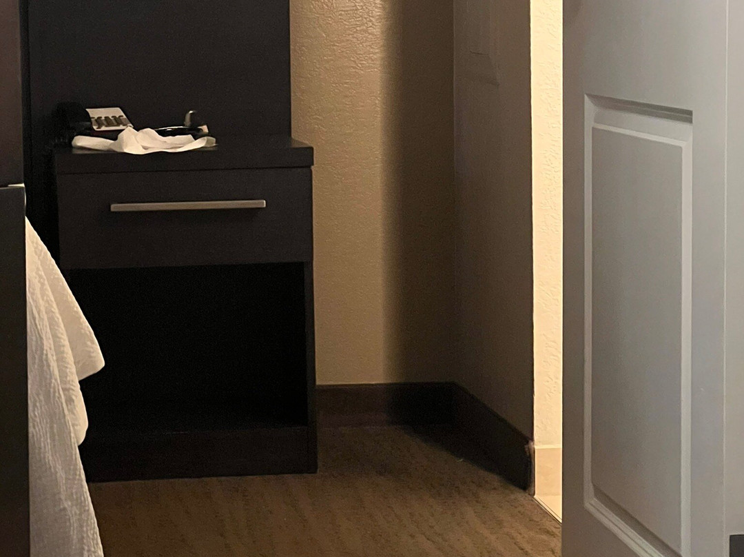 Residence Inn by Marriott Tampa Sabal Park/Brandon主图