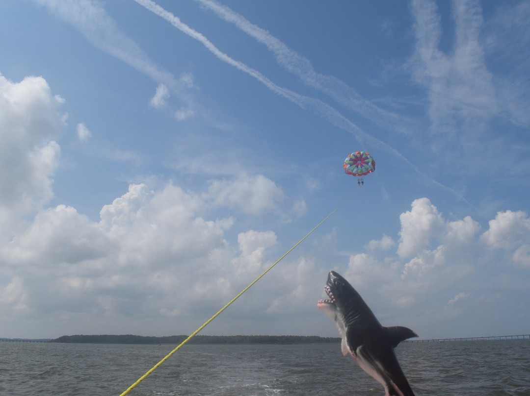 Island Parasail-大洋城必去景点